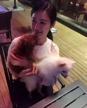 卫校妹子